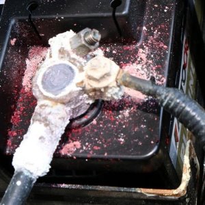 Detail Engine Bay Degreaser Mike Phillips Autogeek