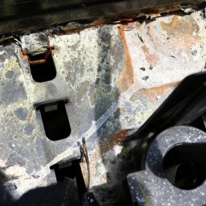 Detail Engine Bay Degreaser Mike Phillips Autogeek