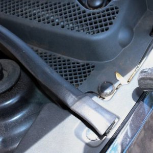 Detail Engine Bay Degreaser Mike Phillips Autogeek
