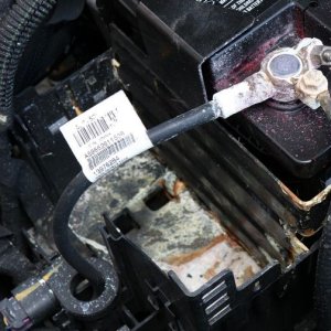 Detail Engine Bay Degreaser Mike Phillips Autogeek