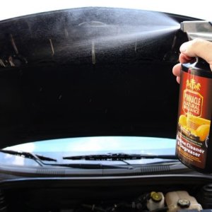 Detail Engine Bay Degreaser Mike Phillips Autogeek