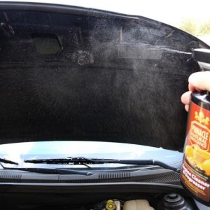 Detail Engine Bay Degreaser Mike Phillips Autogeek
