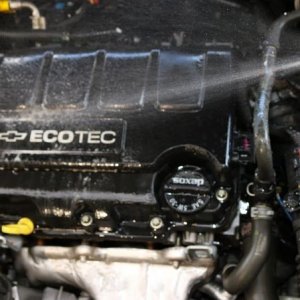 Detail Engine Bay Degreaser Mike Phillips Autogeek