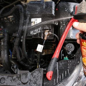 Detail Engine Bay Degreaser Mike Phillips Autogeek