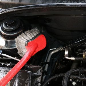 Detail Engine Bay Degreaser Mike Phillips Autogeek