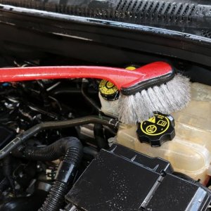 Detail Engine Bay Degreaser Mike Phillips Autogeek