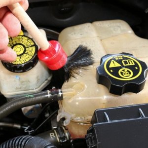 Detail Engine Bay Degreaser Mike Phillips Autogeek