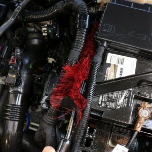 Detail Engine Bay Degreaser Mike Phillips Autogeek