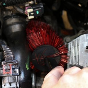 Detail Engine Bay Degreaser Mike Phillips Autogeek