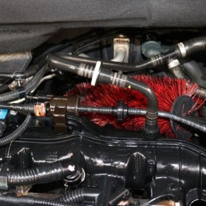 Detail Engine Bay Degreaser Mike Phillips Autogeek