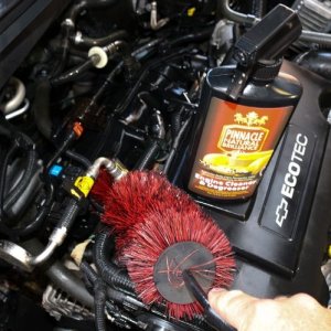 Detail Engine Bay Degreaser Mike Phillips Autogeek