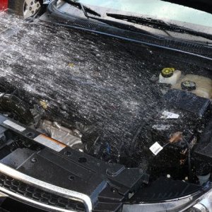 Detail Engine Bay Degreaser Mike Phillips Autogeek