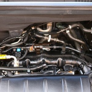 Detail Engine Bay Degreaser Mike Phillips Autogeek