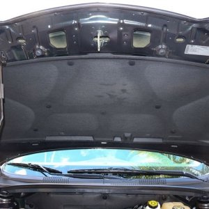 Detail Engine Bay Degreaser Mike Phillips Autogeek