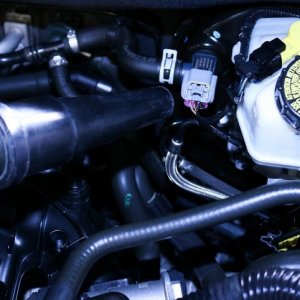 Detail Engine Bay Degreaser Mike Phillips Autogeek