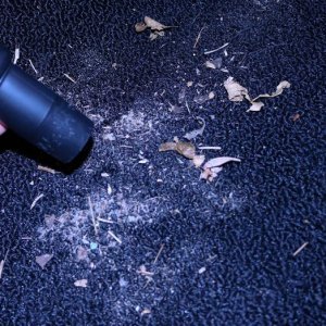 Review: Speedmaster Vac n Blo Jr