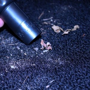 Review: Speedmaster Vac n Blo Jr