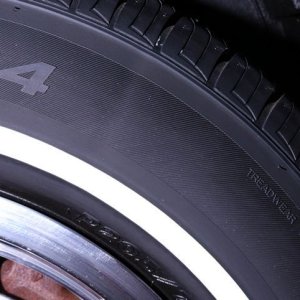 Review: BLACKFIRE Trim & Tire Protectant Aerosol