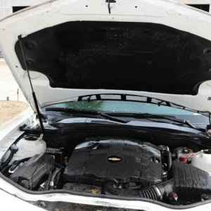 Review BLACKFIRE Super Degreaser