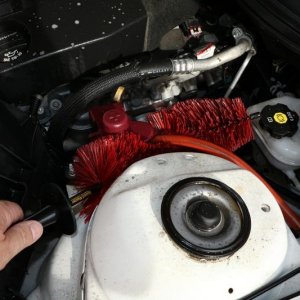 Review BLACKFIRE Super Degreaser