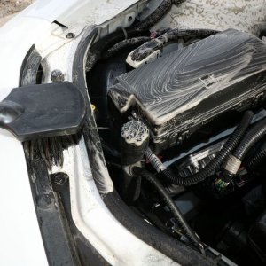 Review BLACKFIRE Super Degreaser