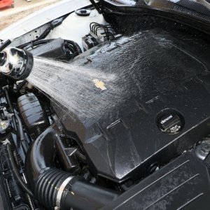 Review BLACKFIRE Super Degreaser