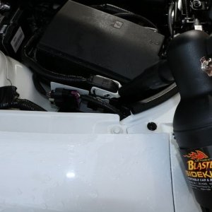 Review BLACKFIRE Super Degreaser