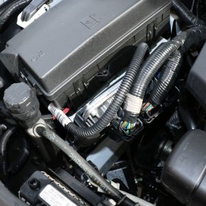 Review BLACKFIRE Super Degreaser