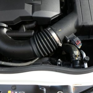 Review BLACKFIRE Super Degreaser