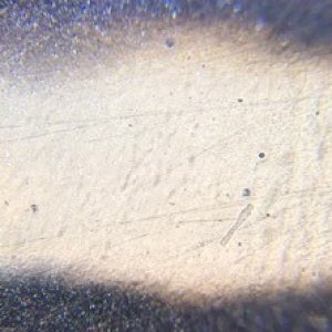 tiny pits in car paint