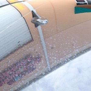 Blackfire Pro-Ceramic Coating Wash Mike Phillips