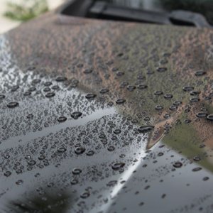 Blackfire Pro-Ceramic Coating Wash Mike Phillips