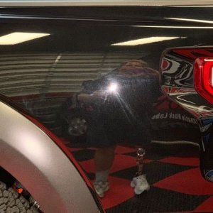 Dealership Work - 2019 Ford Raptor - Holograms
