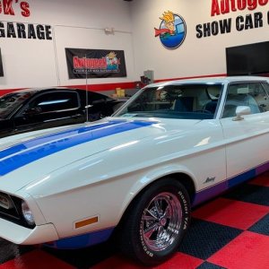 Paint Correction Griots Garage Mike Phillips Autogeek