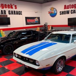 Paint Correction Griots Garage Mike Phillips Autogeek