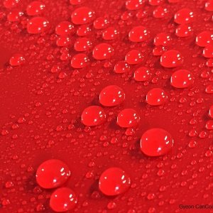 Gyeon_CanCoat_Beads