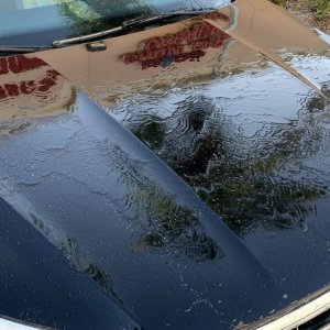 HydroSeal Concentrate BLACKFIRE Review