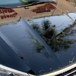 HydroSeal Concentrate BLACKFIRE Review