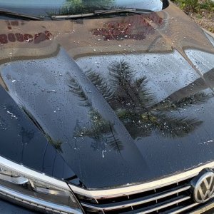 HydroSeal Concentrate BLACKFIRE Review