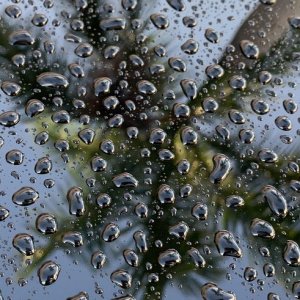 HydroSeal Concentrate BLACKFIRE Review