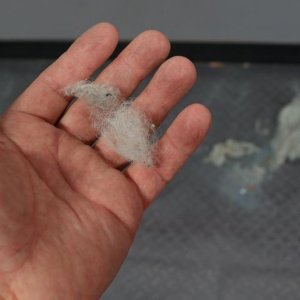Wool_Dust_Bunnies_1