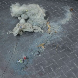 Wool_Dust_Bunnies_2