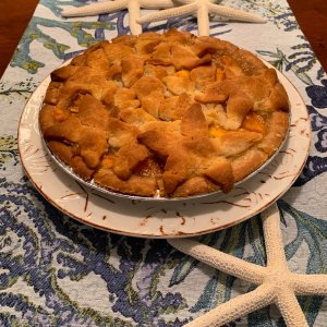 Mango Pie by Stacy Phillips