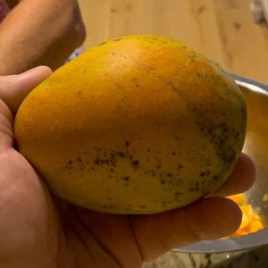 Mango_001