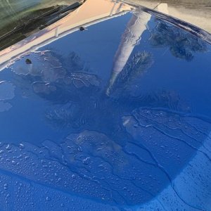 Review BLACKFIRE HydroSeal RTU