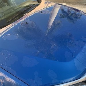 Review BLACKFIRE HydroSeal RTU