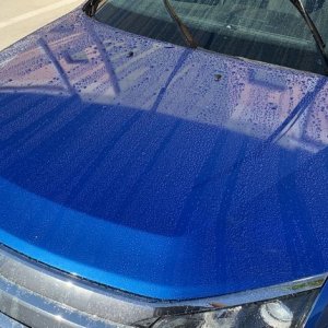 Review BLACKFIRE HydroSeal RTU