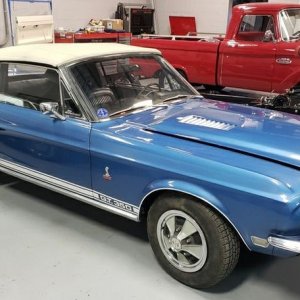 Shelby Mustang GT350 - Original Paint by Mike Phillips
