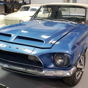 Shelby Mustang GT350 - Original Paint by Mike Phillips