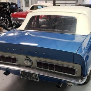 Shelby Mustang GT350 - Original Paint by Mike Phillips